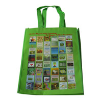 朔州LB11覆膜无纺布广告袋